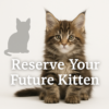 ChatGPT-Image-Nov-23-2025-06_46_54-PM